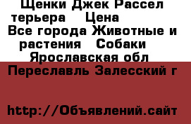 Щенки Джек Рассел терьера  › Цена ­ 15 000 - Все города Животные и растения » Собаки   . Ярославская обл.,Переславль-Залесский г.